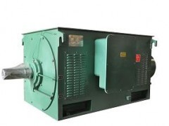 供應(yīng)Y系列中型高壓三相異步電動機(jī) 高效可靠的工業(yè)動力選擇