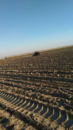 開魯縣農(nóng)機銷售與價格概況 助力現(xiàn)代農(nóng)業(yè)發(fā)展